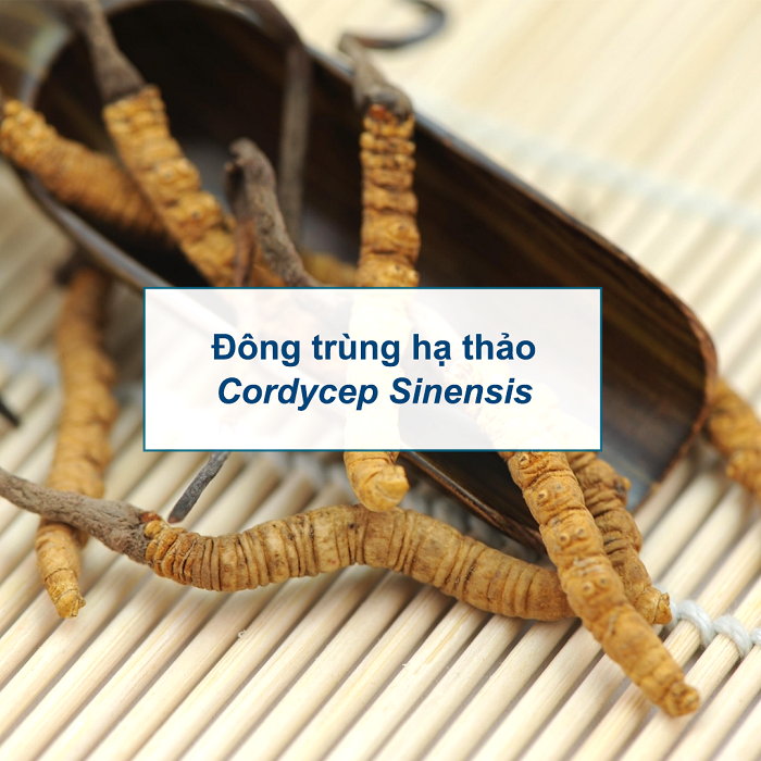 Thương hiệu - Immunobal và đánh giá về tác dụng của từng thành phần từ chuyên gia (Hình 7).