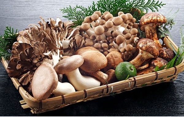 Thương hiệu - Tác dụng tuyệt vời của Beta glucan đối với cơ thể con người