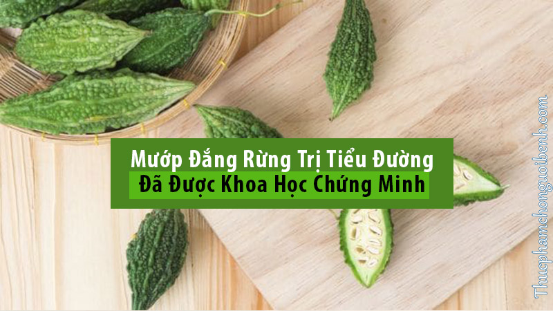 Truyền thông - Dùng mướp đắng rừng như thế nào để đạt hiệu quả cao trong việc hỗ trợ điều trị bệnh tiểu đường? (Hình 3).