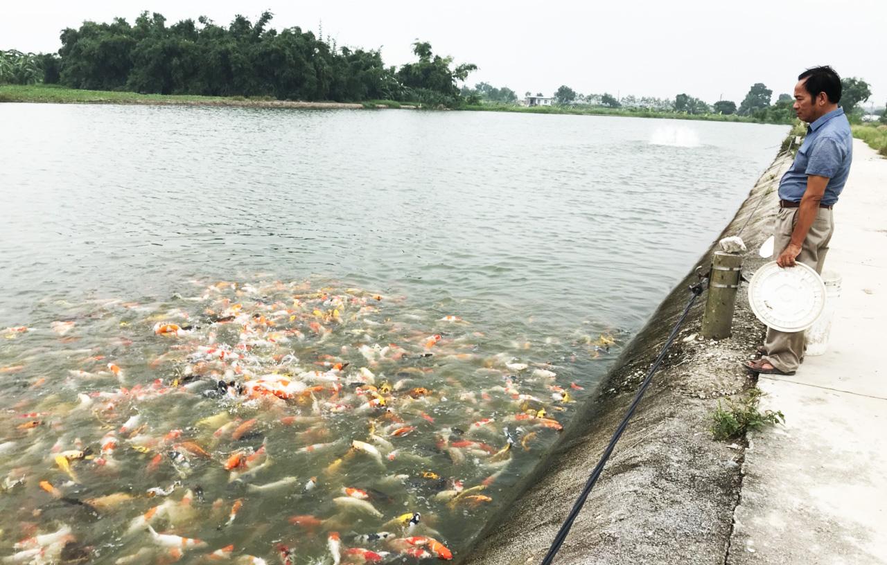 Thương hiệu - Lão nông bỏ chục tỷ đồng, 10 năm biến đất bãi chua mặn thành trang trại sinh thái hút khách (Hình 2).