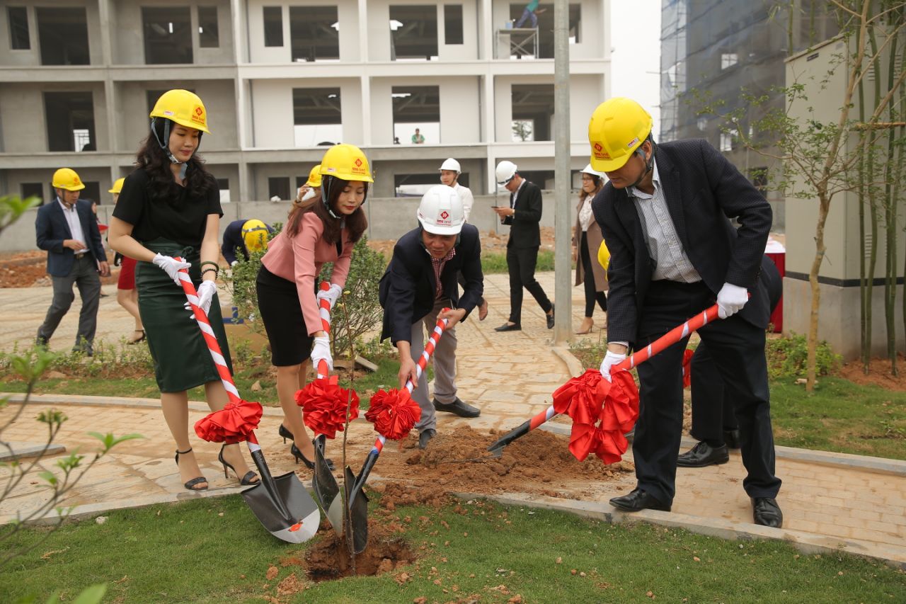 Bất động sản - Khởi trồng con đường hoa anh đào đầu tiên tại Phúc Yên (Hình 3).