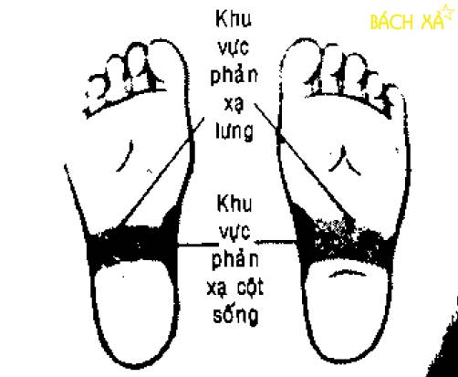 Truyền thông - 05 Cách chữa đau lưng tại nhà đơn giản nhất (Hình 2).