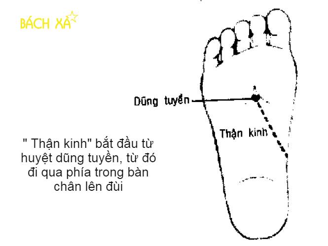 Truyền thông - 05 Cách chữa đau lưng tại nhà đơn giản nhất (Hình 3).