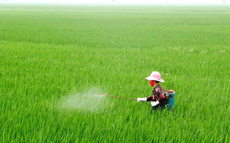 Truyền thông - Các cách phòng ngừa ung thư máu đơn giản và hiệu quả