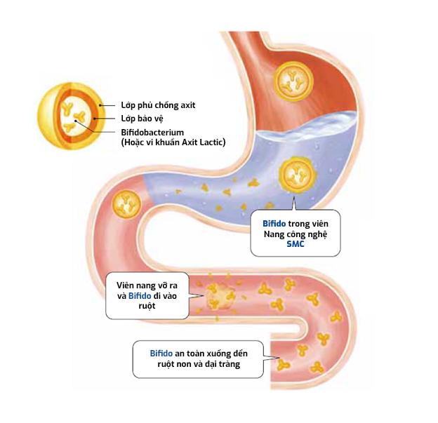 Truyền thông - Rối loạn tiêu hóa do uống rượu bia, xử lý nhanh tránh biến chứng nguy hiểm? (Hình 2).