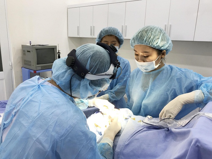 Thương hiệu - Mũi đẹp không lo biến chứng với nâng mũi S-Line bán cấu trúc (Hình 2).