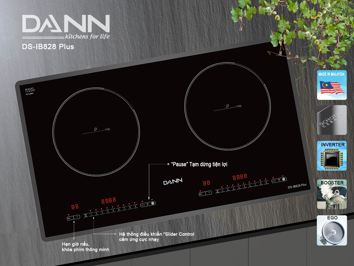 Thương hiệu - Vì sao nói bếp từ Dann DS-IB828 PLUS là bếp từ tốt nhất năm 2020?