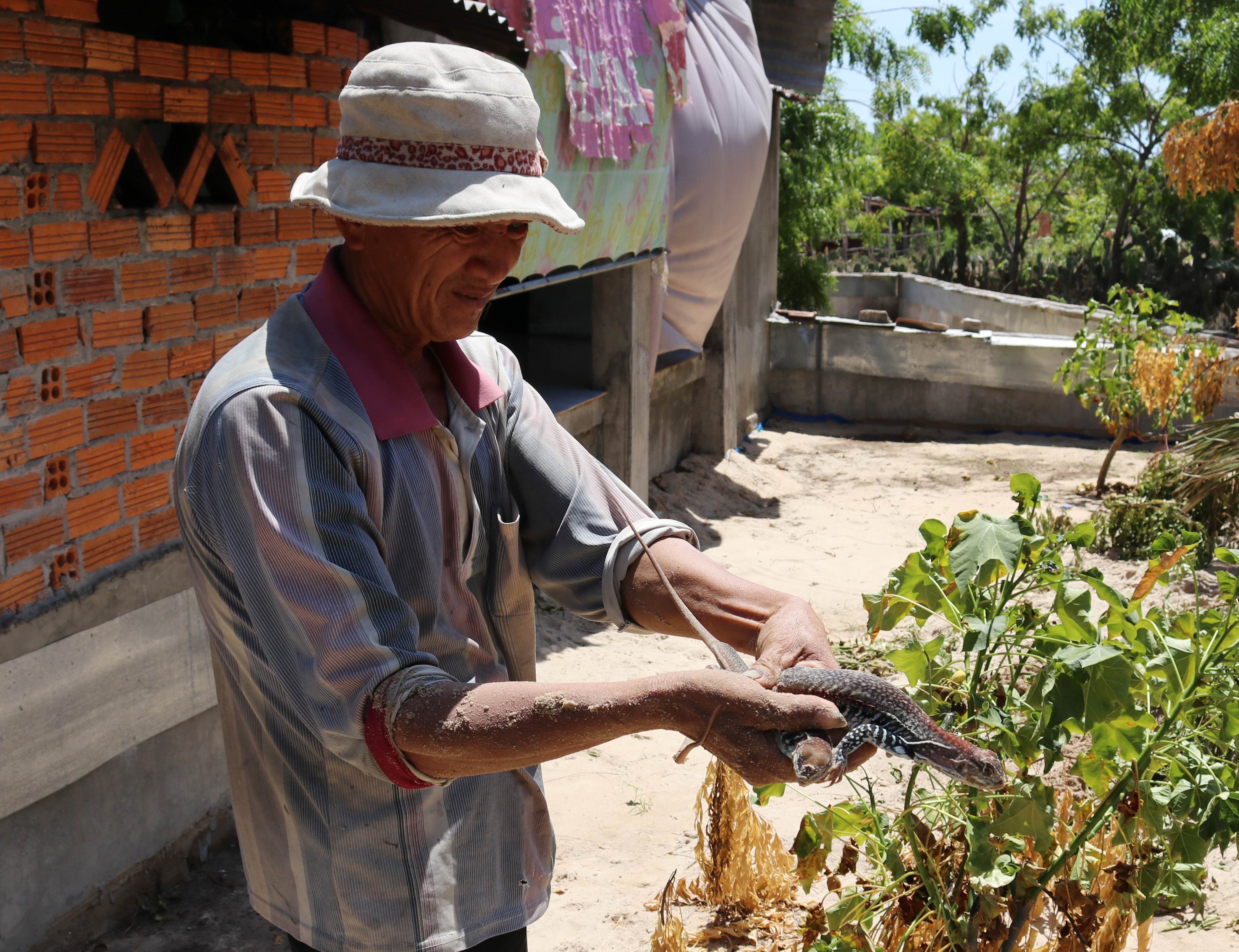 Đầu tư - Về “thủ phủ” dông giữa miền cát trắng Ninh Thuận (Hình 2).