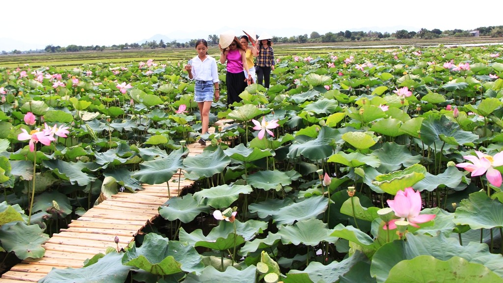 Đầu tư - Thầy giáo khởi nghiệp thành công từ 10 triệu đồng (Hình 2).