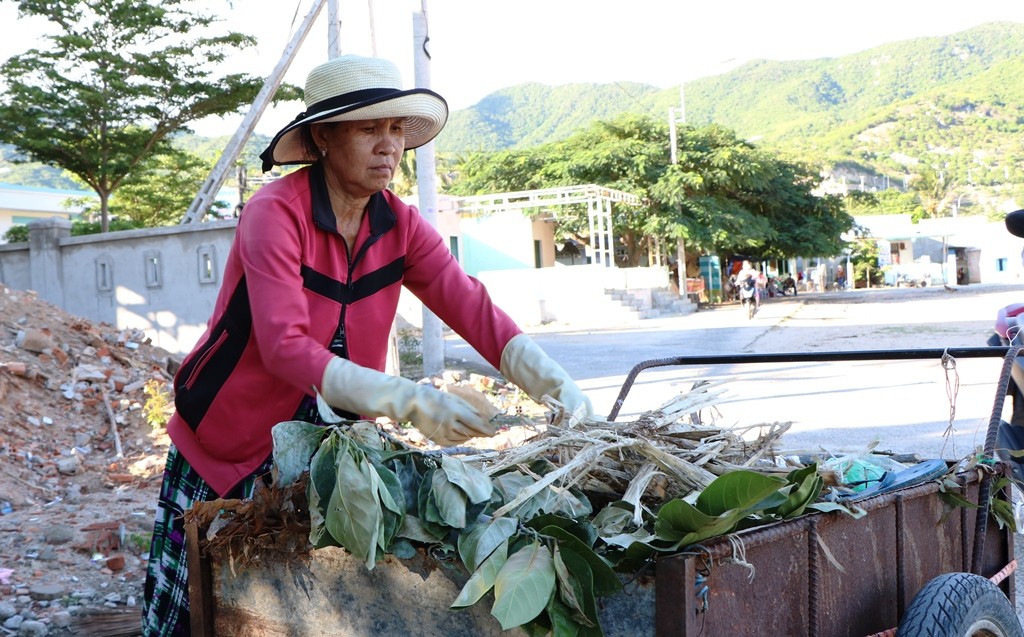 Dân sinh - Tâm sự cảm động của người phụ nữ hơn 15 năm tình nguyện nhặt rác ở Vịnh Vĩnh Hy (Hình 9).