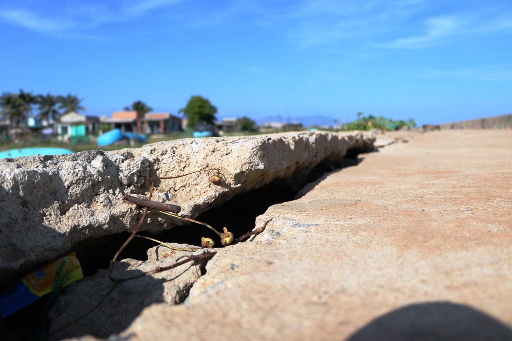 Môi trường - Ninh Thuận: Cận cảnh tuyến đê biển… chờ sập khiến người dân lo sợ (Hình 3).