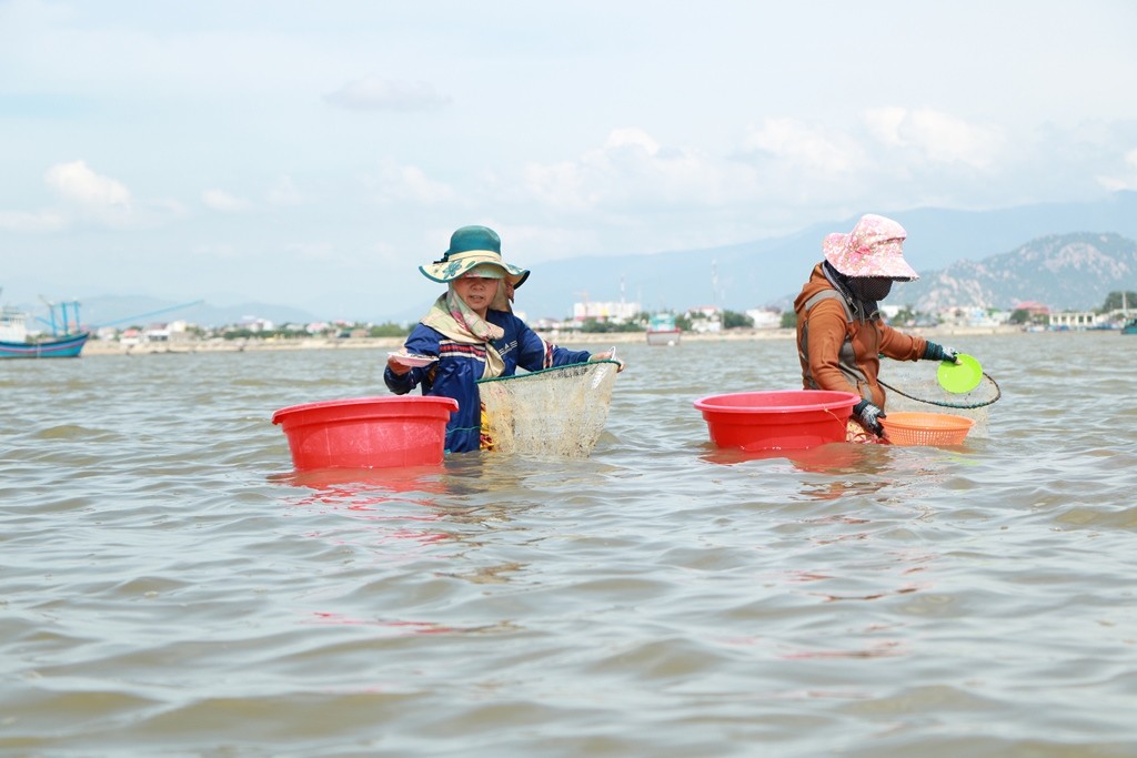 Dân sinh - Nhọc nhằn nghề cào hến, cào ốc mưu sinh dưới lòng sông Dinh (Hình 3).