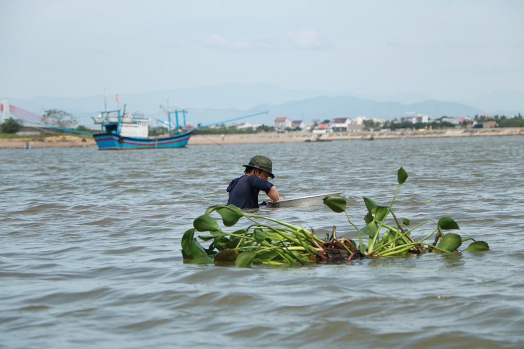 Dân sinh - Nhọc nhằn nghề cào hến, cào ốc mưu sinh dưới lòng sông Dinh (Hình 14).