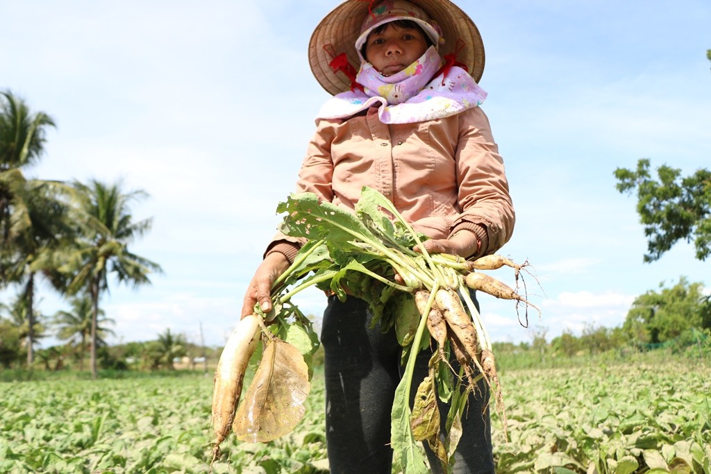 Tin nhanh - Ninh Thuận: Người dân vật vã vì áp thấp nhiệt đới sau cơn bão số 8 (Hình 14).