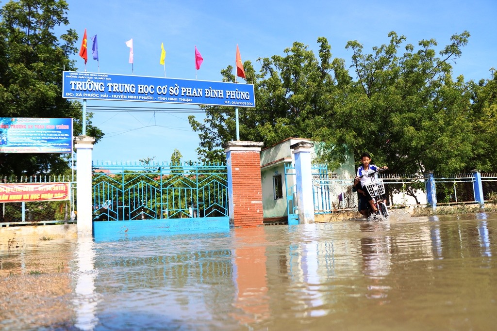 Tin nhanh - Ninh Thuận: Người dân vật vã vì áp thấp nhiệt đới sau cơn bão số 8 (Hình 19).