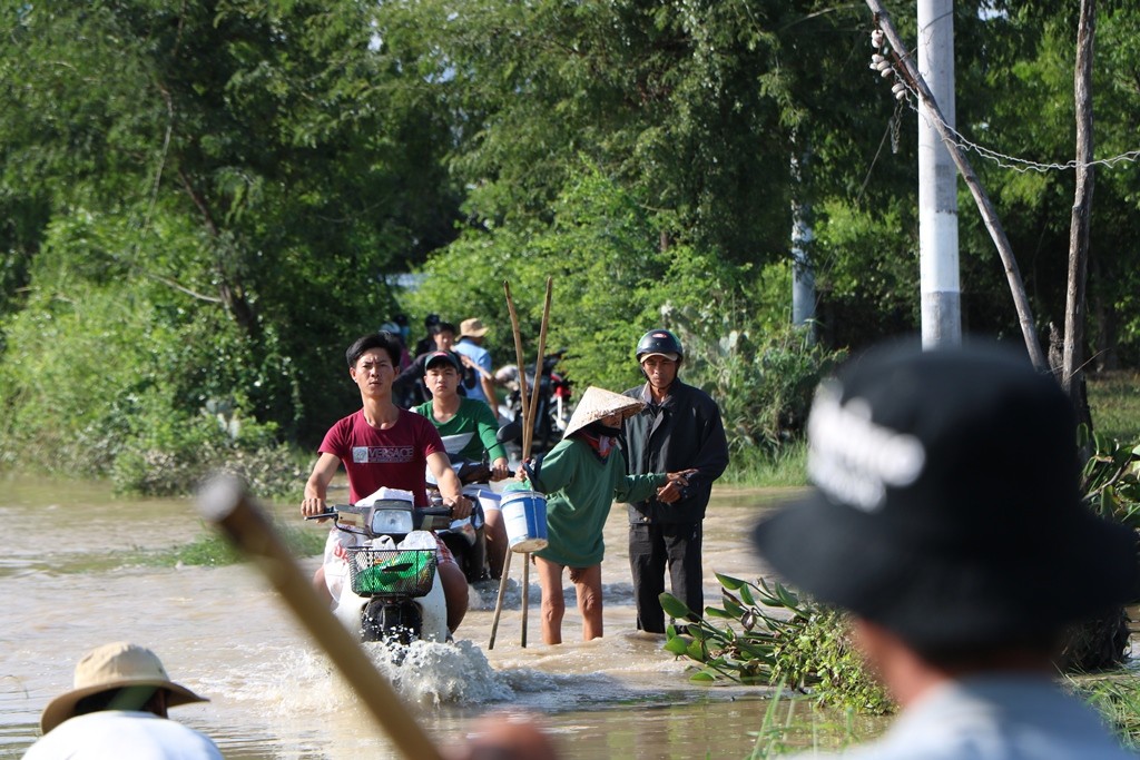 Tin nhanh - Ninh Thuận: Người dân vật vã vì áp thấp nhiệt đới sau cơn bão số 8 (Hình 4).