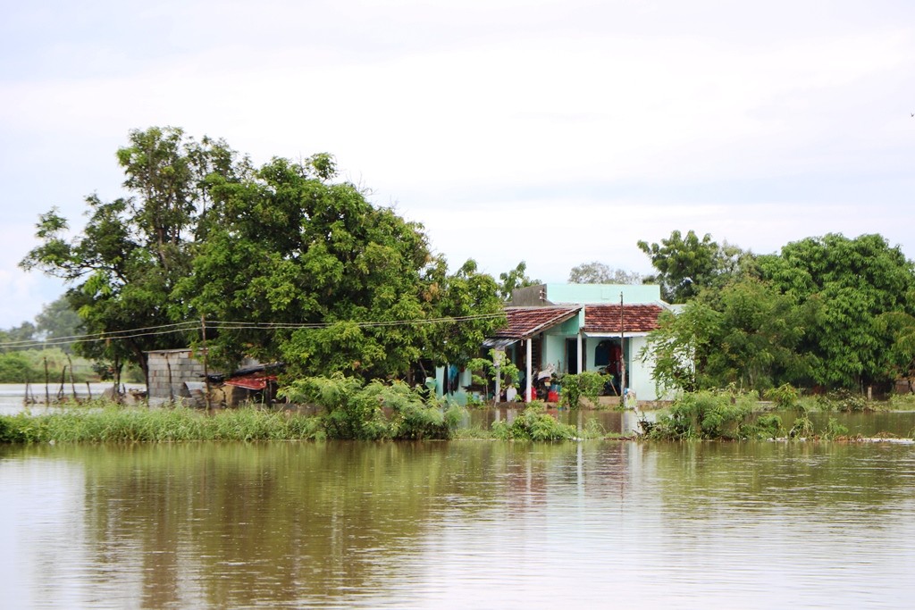 Tin nhanh - Ninh Thuận: Lũ lụt gây thiệt hại hàng trăm tỷ đồng (Hình 2).