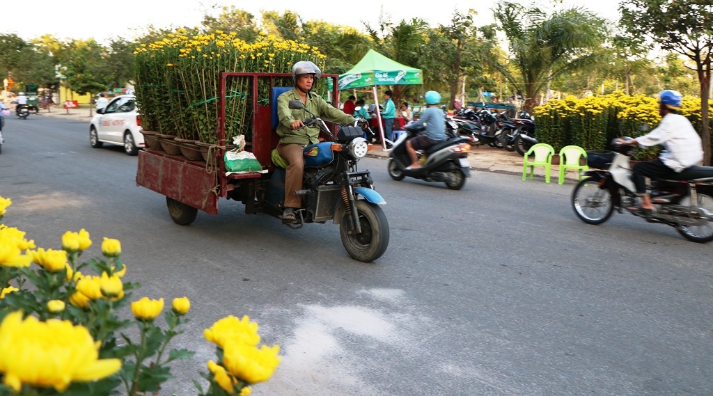 Dân sinh - Ninh Thuận: Hoa Tết đủng đỉnh xuống phố khoe sắc (Hình 3).