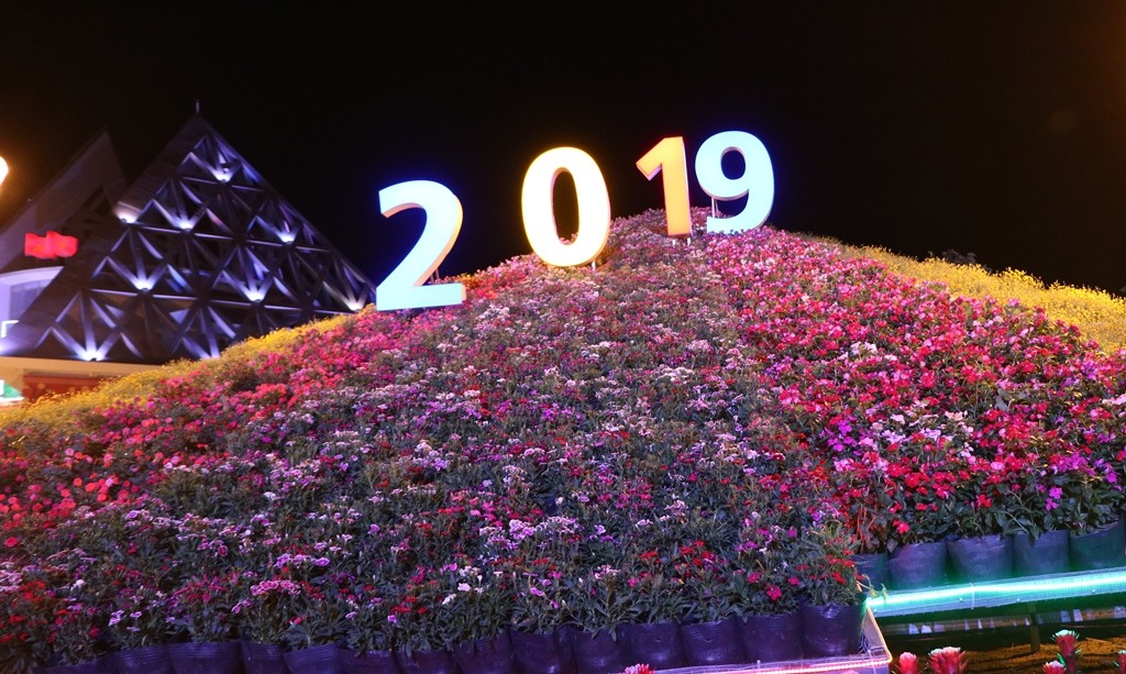 Văn hoá - Ninh Thuận: Năng lượng điện gió, điện mặt trời điểm nhấn Vườn hoa Xuân Kỷ Hợi 2019 (Hình 8).