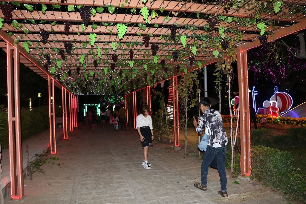 Văn hoá - Ninh Thuận: Năng lượng điện gió, điện mặt trời điểm nhấn Vườn hoa Xuân Kỷ Hợi 2019 (Hình 11).