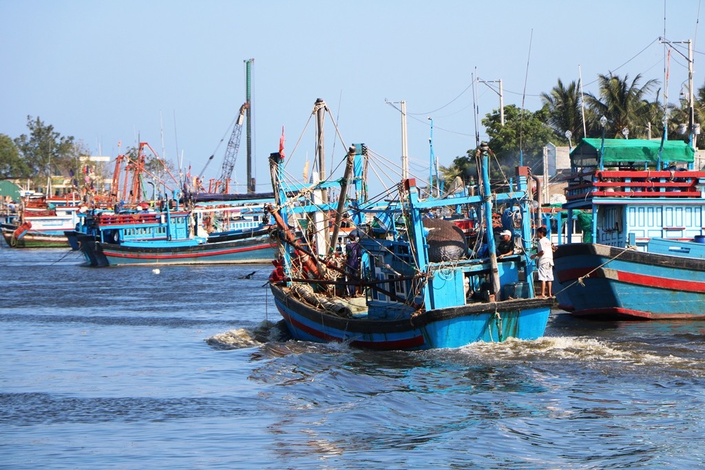 Dân sinh - Chùm ảnh: Nông dân tỉnh Ninh Thuận chọn ngày đẹp ra đồng đầu năm (Hình 13).