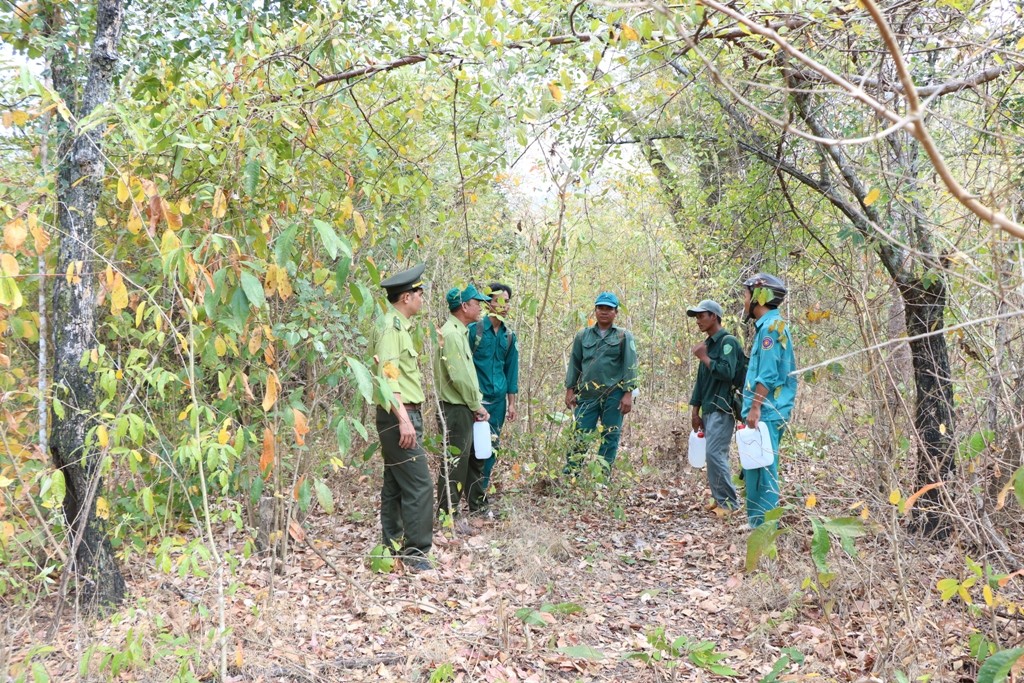 Môi trường - Ninh Thuận: Nguy cơ cháy rừng ở cấp nguy hiểm (Hình 5).