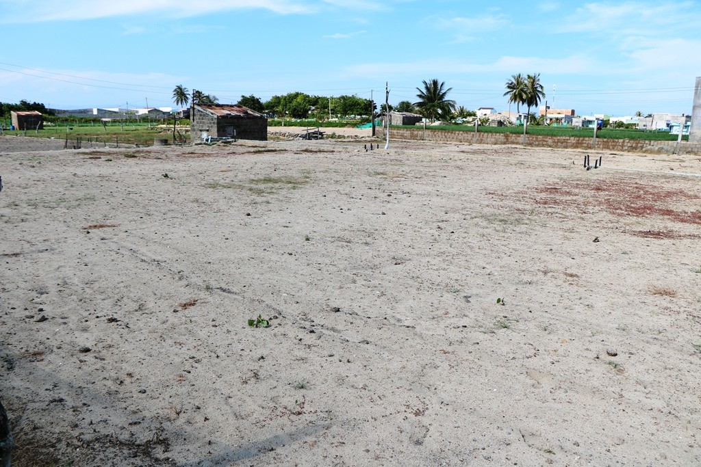 Môi trường - Ninh Thuận: Phó Chủ tịch tỉnh kết luận về nguyên nhân đất nhiễm mặn (Hình 2).