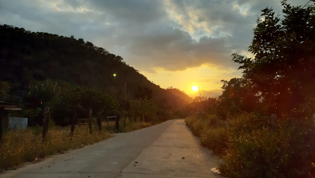 Dân sinh - [Chùm ảnh] Ngắm 'bữa tiệc' hoa giữa núi rừng Ninh Thuận (Hình 11).