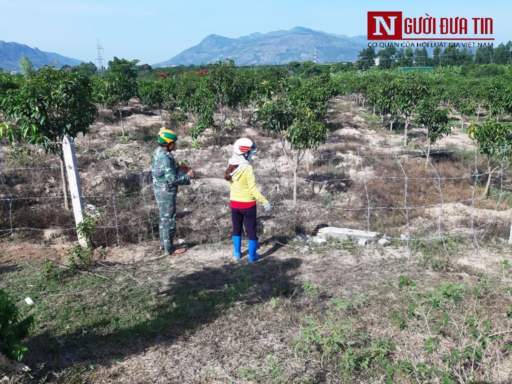 Tin nhanh - Chùm ảnh: Những mảnh vỡ sót lại sau vụ máy bay quân sự rơi ở Khánh Hòa (Hình 4).