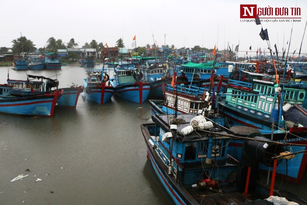 Tin nhanh - Ninh Thuận: Khẩn trương các phương án đối phó với áp thấp nhiệt đới, đảm bảo an toàn về người và tài sản (Hình 2).