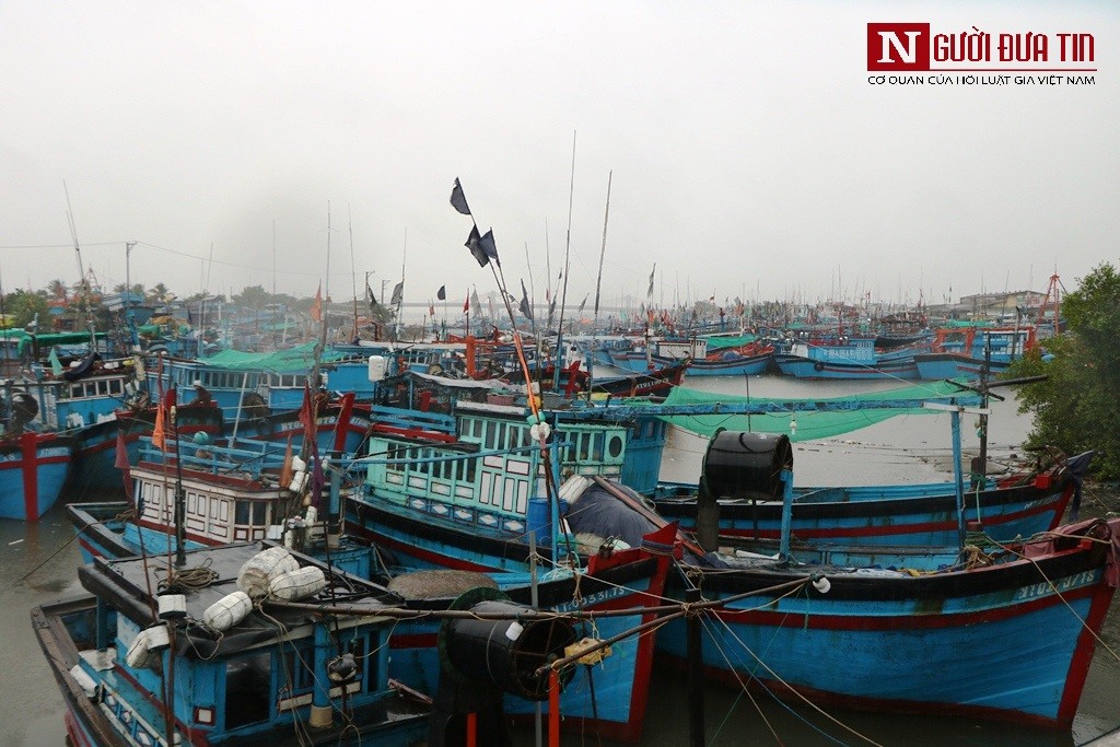 Tin nhanh - Ninh Thuận: Khẩn trương các phương án đối phó với áp thấp nhiệt đới, đảm bảo an toàn về người và tài sản