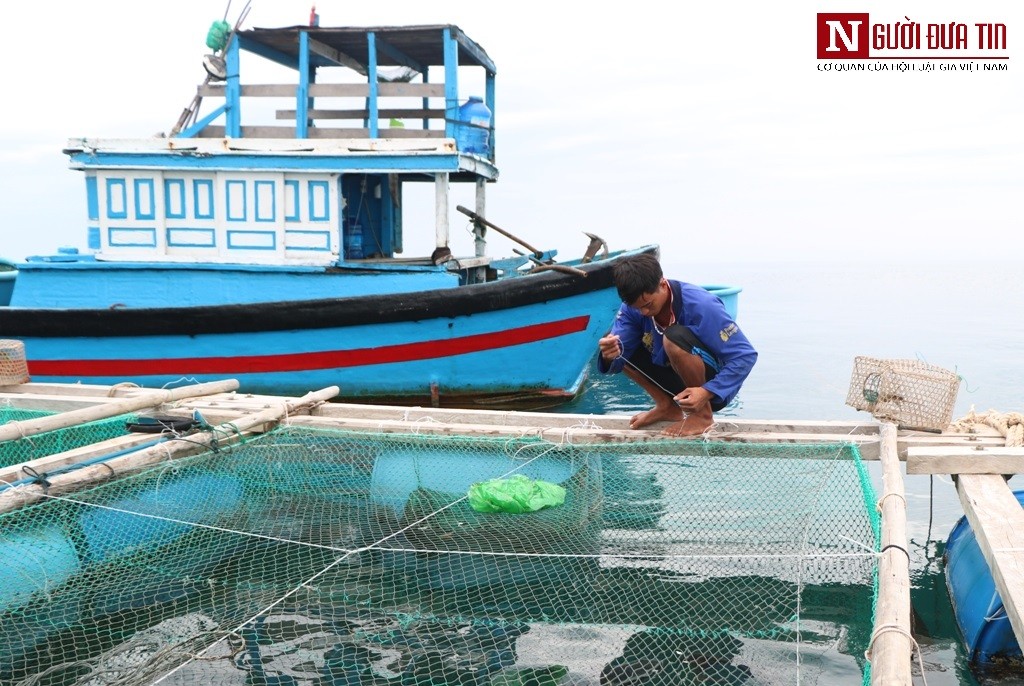 Tin nhanh - Chùm ảnh: Ninh Thuận chuẩn bị 'đón' bão số 5 đổ bộ (Hình 4).