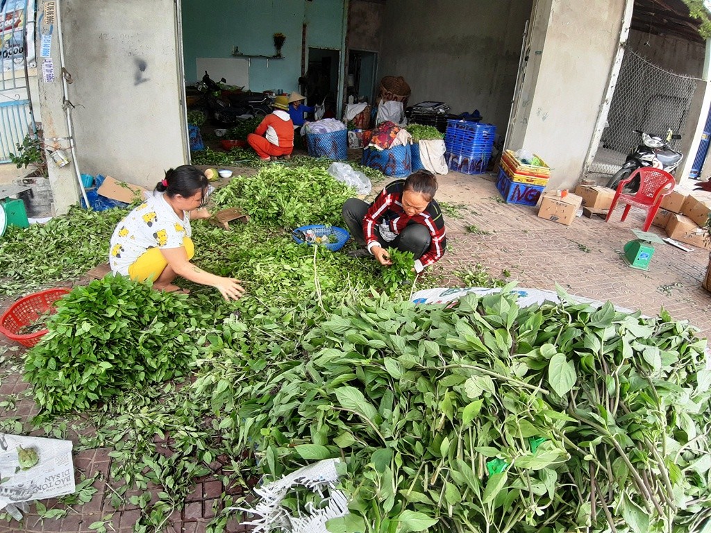 Tin nhanh - Chùm ảnh: Ninh Thuận trở lại nhịp sống thường ngày sau bão số 5 (Hình 7).