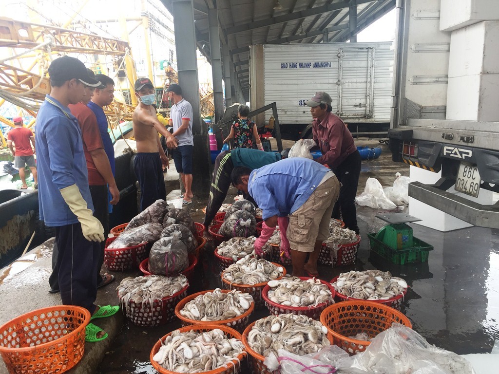 Tin nhanh - Chùm ảnh: Ninh Thuận trở lại nhịp sống thường ngày sau bão số 5 (Hình 3).