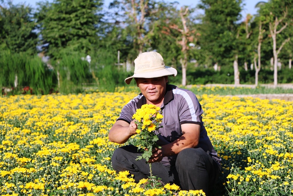 Tin nhanh - Làng hoa Mỹ Bình rực rỡ khoe sắc chào xuân Canh Tý 2020 (Hình 5).