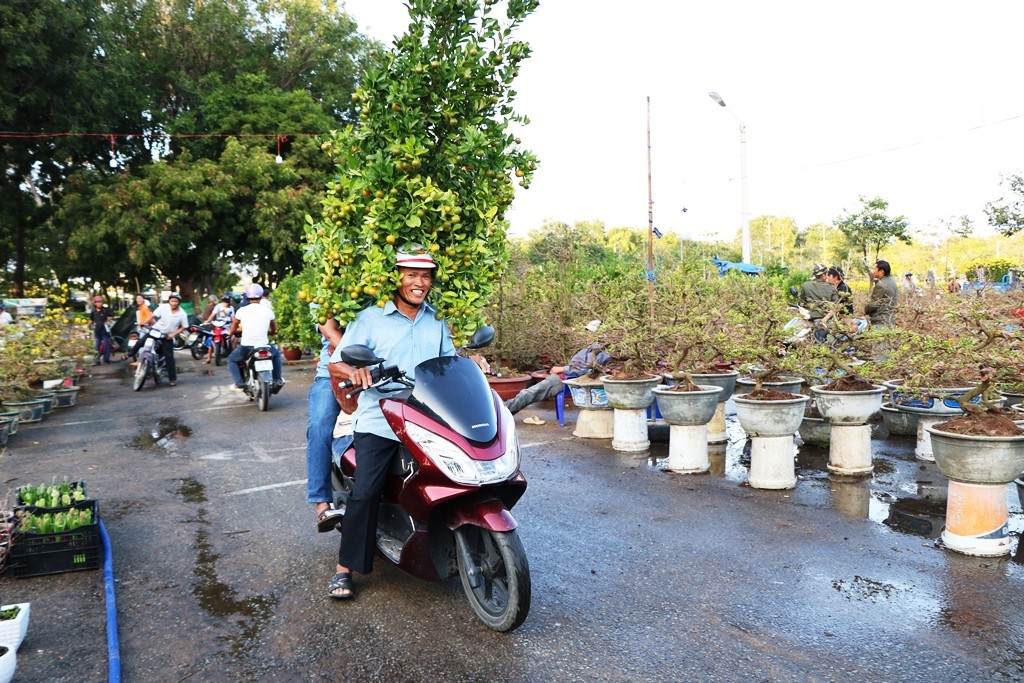 Tin nhanh - Chùm ảnh: Sắc xuân về rực rỡ khắp phố phường Ninh Thuận (Hình 4).