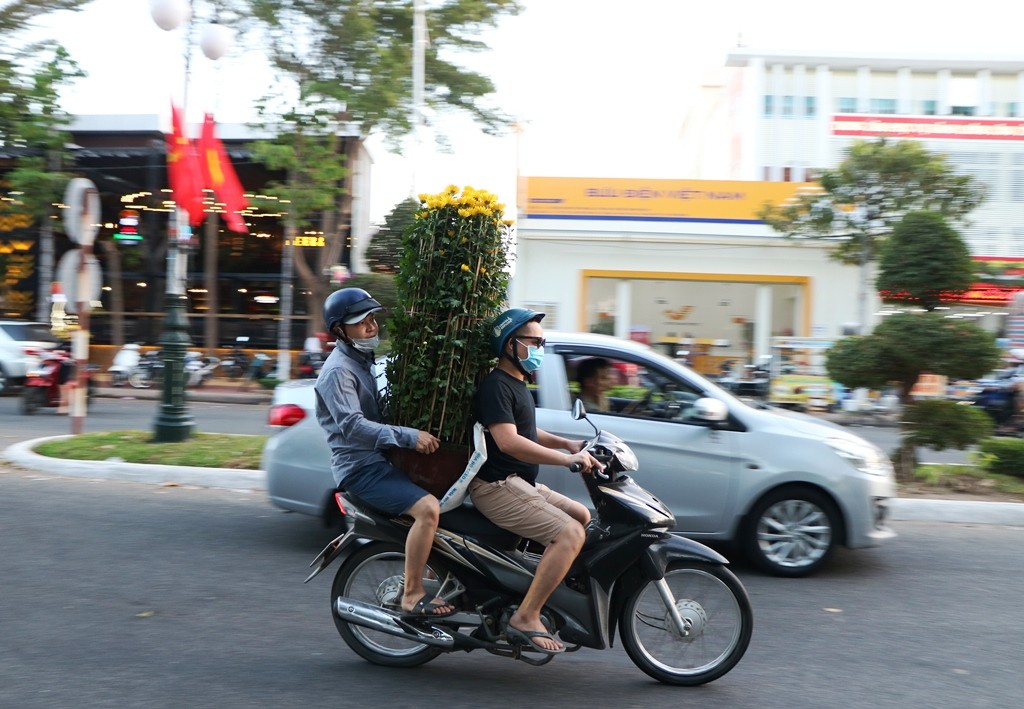 Tin nhanh - Chùm ảnh: Sắc xuân về rực rỡ khắp phố phường Ninh Thuận (Hình 6).