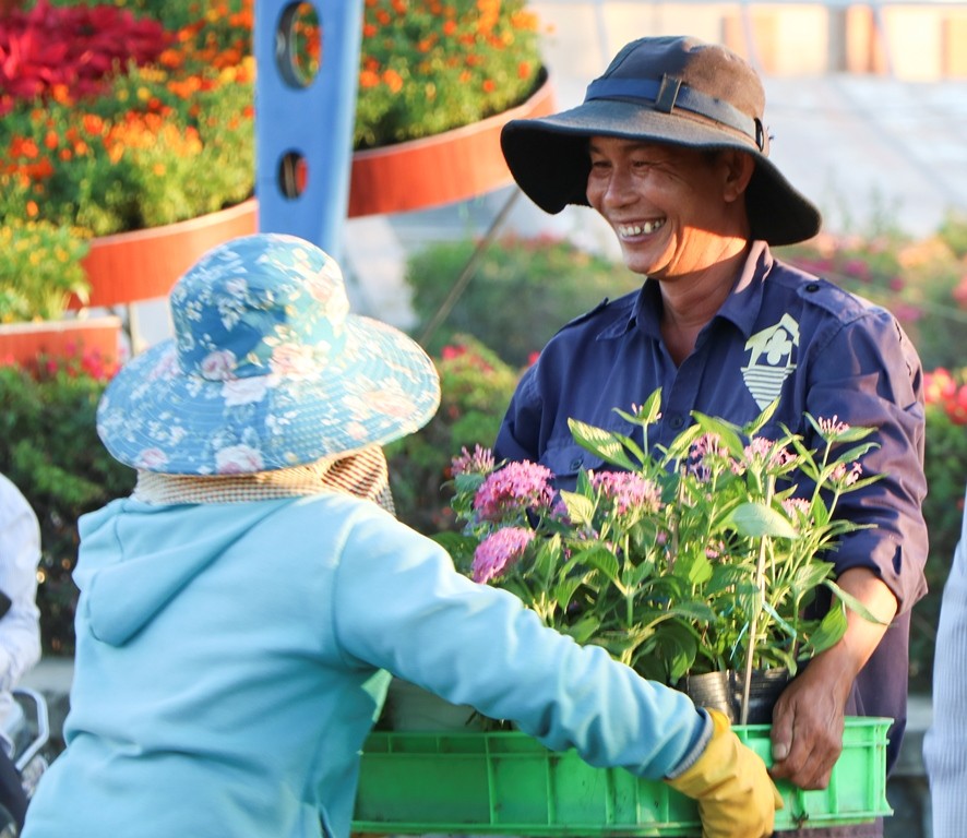 Tin nhanh - Chùm ảnh: Sắc xuân về rực rỡ khắp phố phường Ninh Thuận (Hình 10).