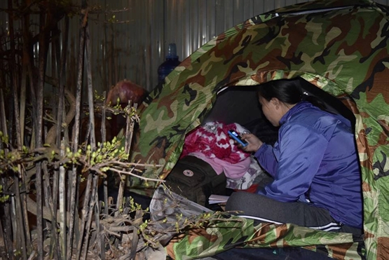 Người phụ nữ này cùng chồng mang mai từ Bình Định ra, tranh thủ gọi điện về nhà hỏi thăm tình hình.​

