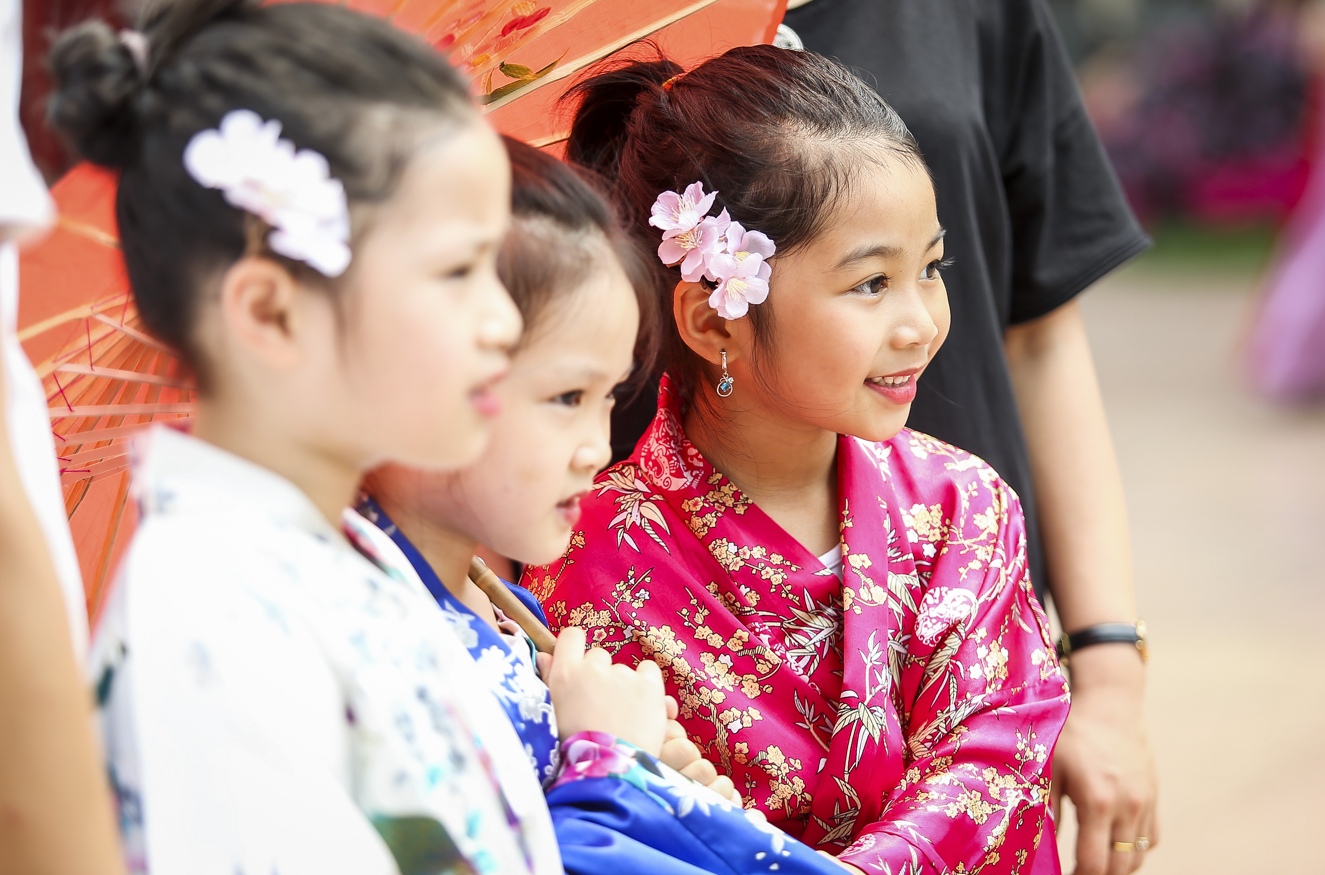 Văn hoá - Dòng người hào hứng tham gia Lễ hội hoa anh đào 2019 (Hình 8).