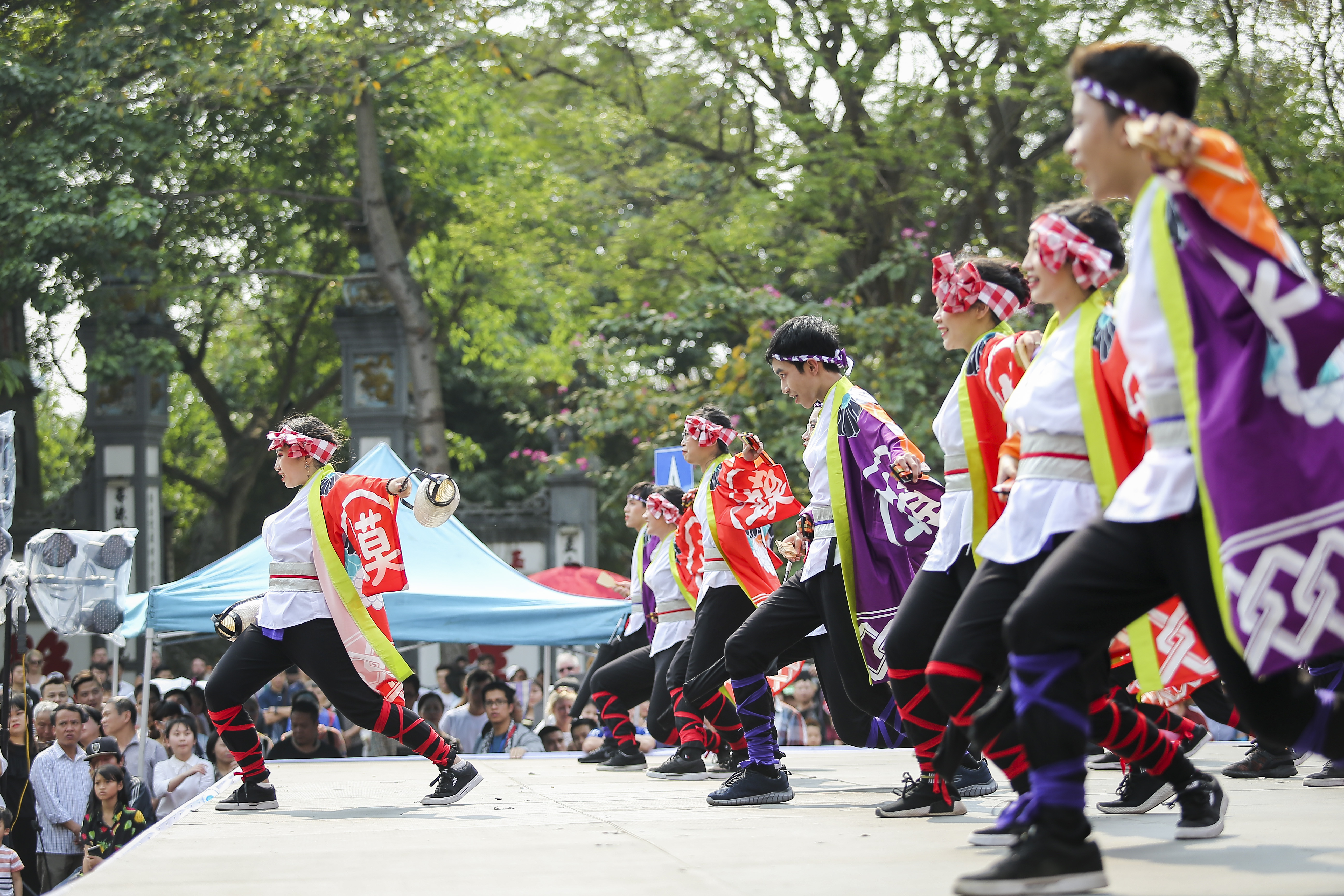 Văn hoá - Dòng người hào hứng tham gia Lễ hội hoa anh đào 2019 (Hình 11).