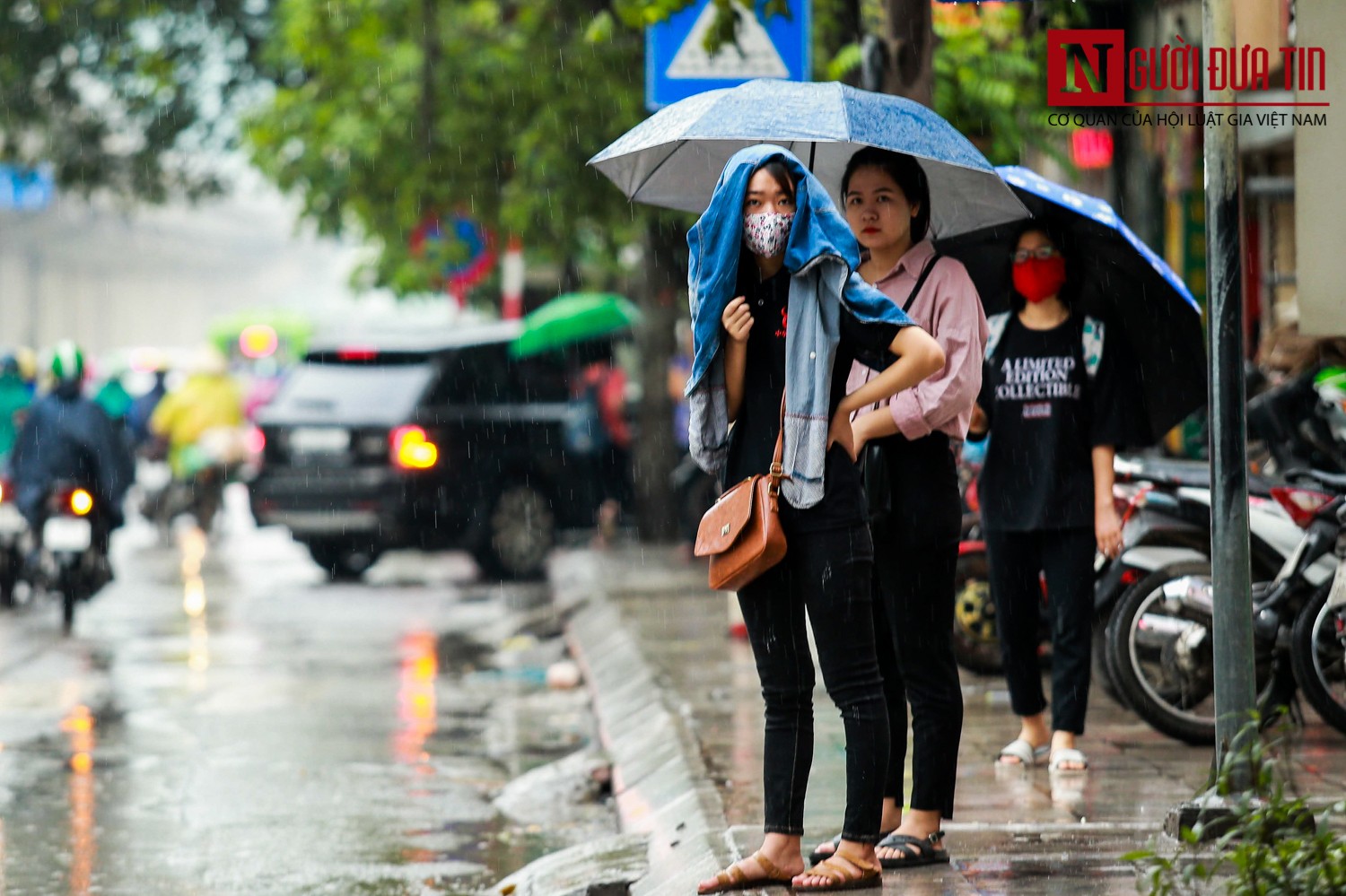 Tin nhanh - “Cơn mưa vàng” xua tan chuỗi ngày nắng nóng Hà Nội (Hình 7).