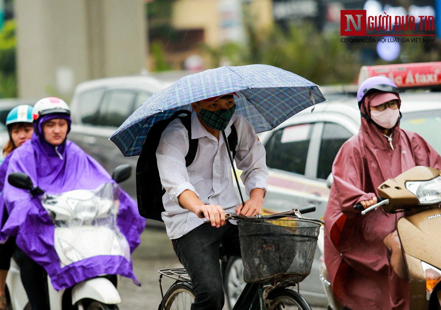 Tin nhanh - “Cơn mưa vàng” xua tan chuỗi ngày nắng nóng Hà Nội (Hình 5).