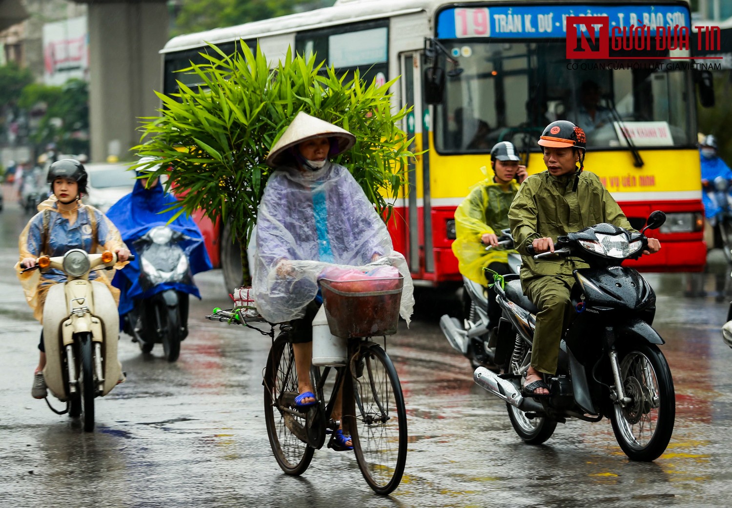 Tin nhanh - “Cơn mưa vàng” xua tan chuỗi ngày nắng nóng Hà Nội