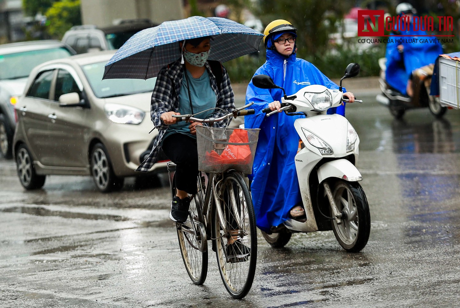 Tin nhanh - “Cơn mưa vàng” xua tan chuỗi ngày nắng nóng Hà Nội (Hình 8).