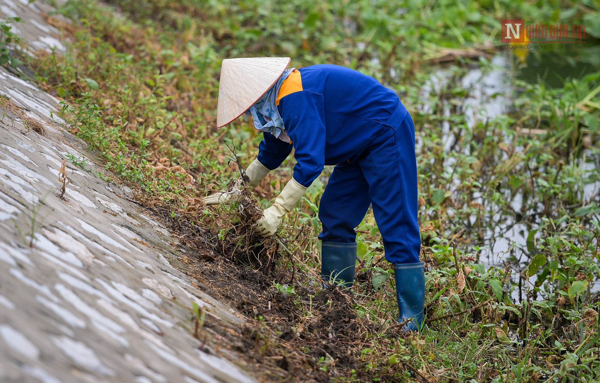 Tin nhanh - Công nhân dọn lòng hồ điều hòa ô nhiễm giữa lòng Hà Nội (Hình 8).