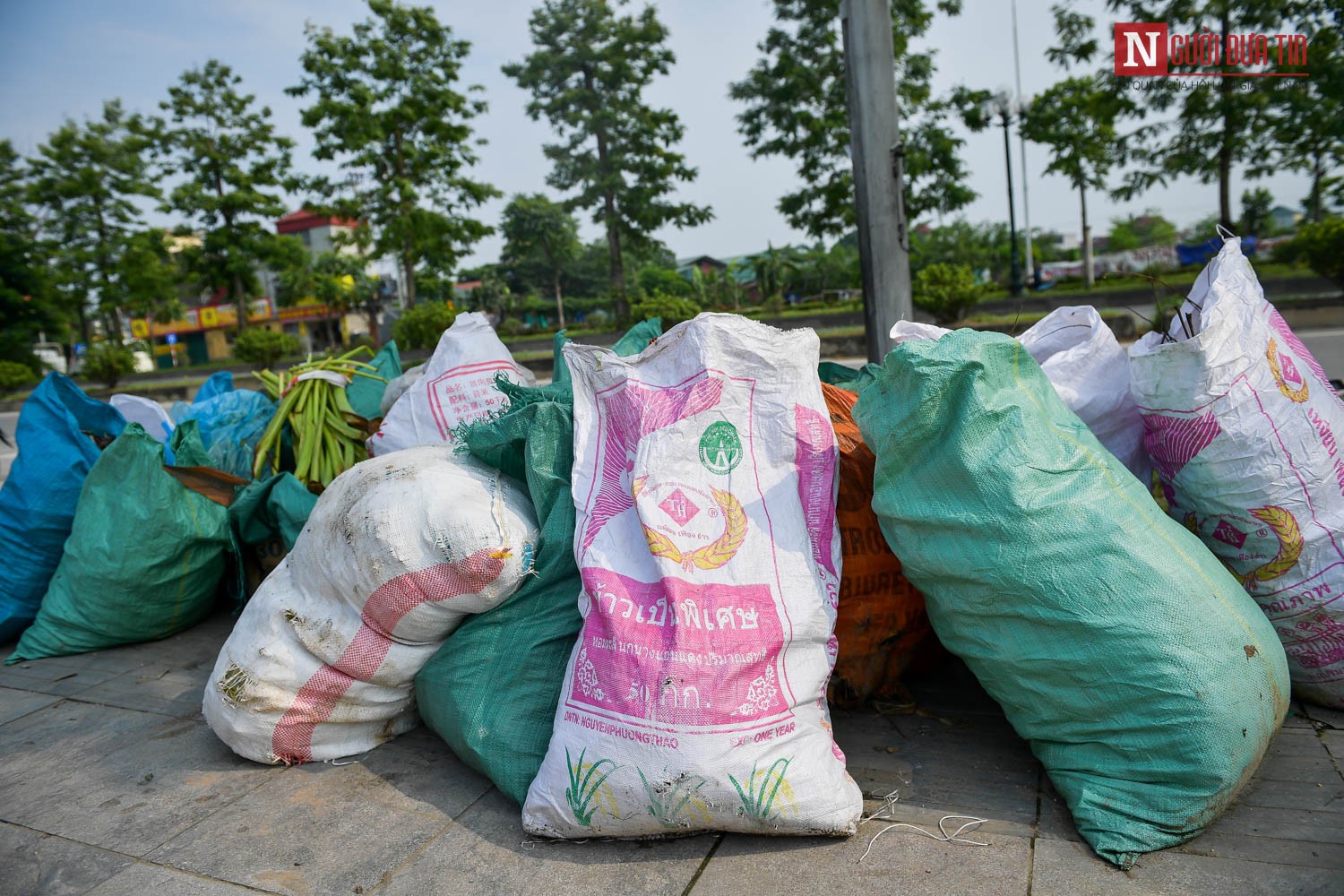 Tin nhanh - Hà Nội: Rác thải bủa vây phố Trịnh Văn Bô, gây mất an toàn giao thông (Hình 3).