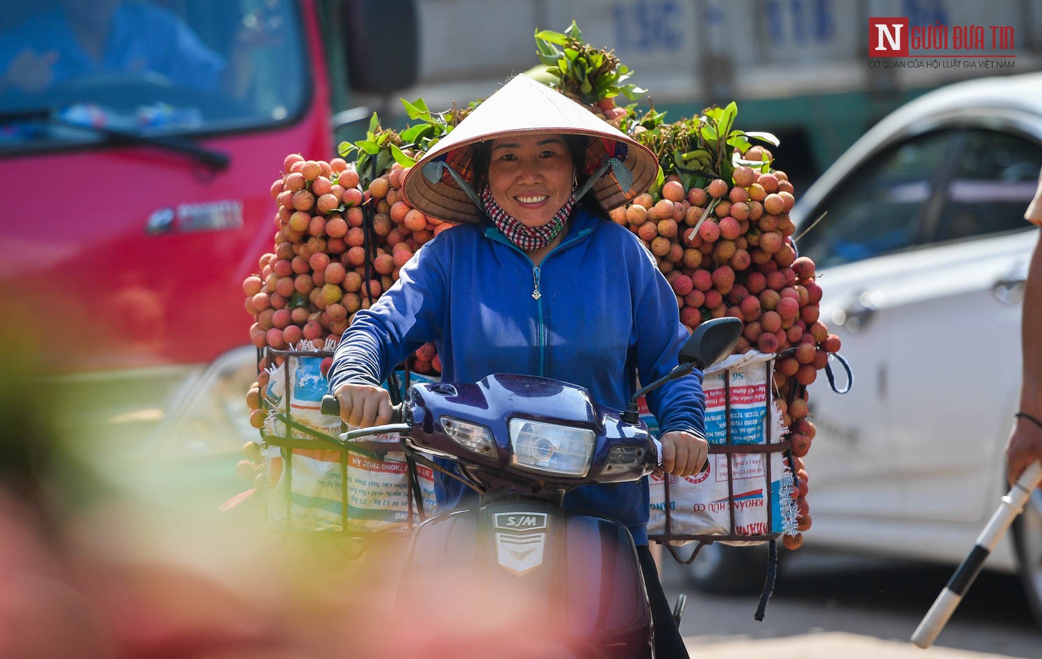 Tin nhanh - Bắc Giang: Đường vải Lục Ngạn tấp nập mùa thu hoạch (Hình 3).