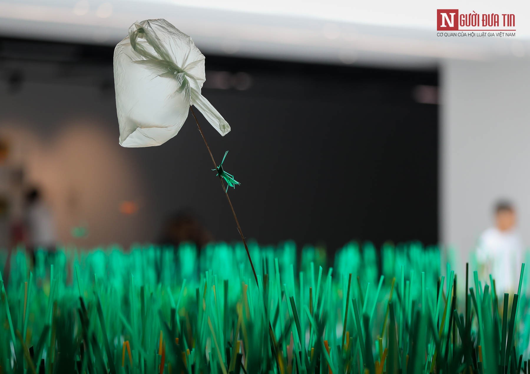 Môi trường - Hàng loạt tác phẩm nghệ thuật khổng lồ được biến hóa từ rác thải nhựa (Hình 13).