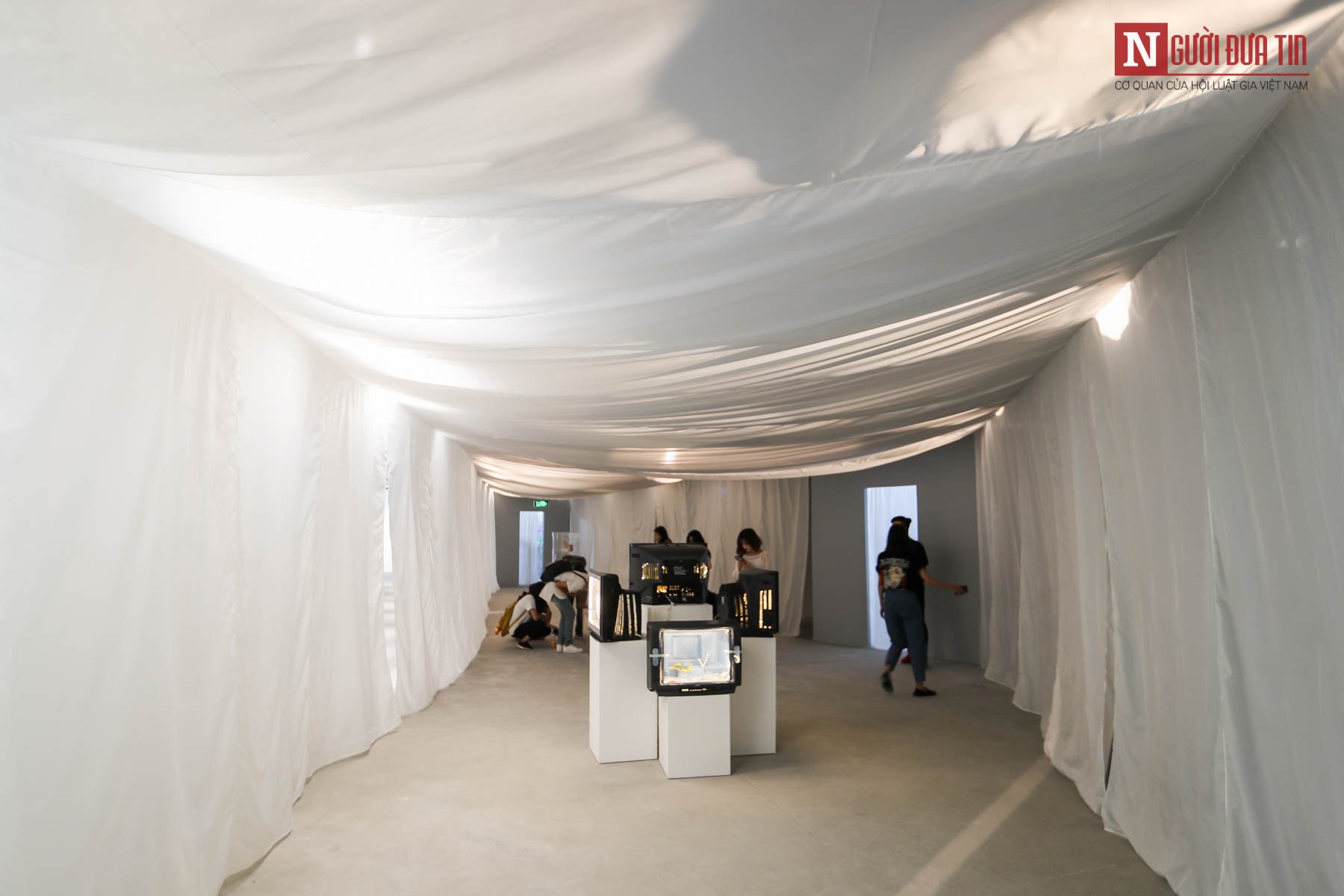 Môi trường - Hàng loạt tác phẩm nghệ thuật khổng lồ được biến hóa từ rác thải nhựa (Hình 11).